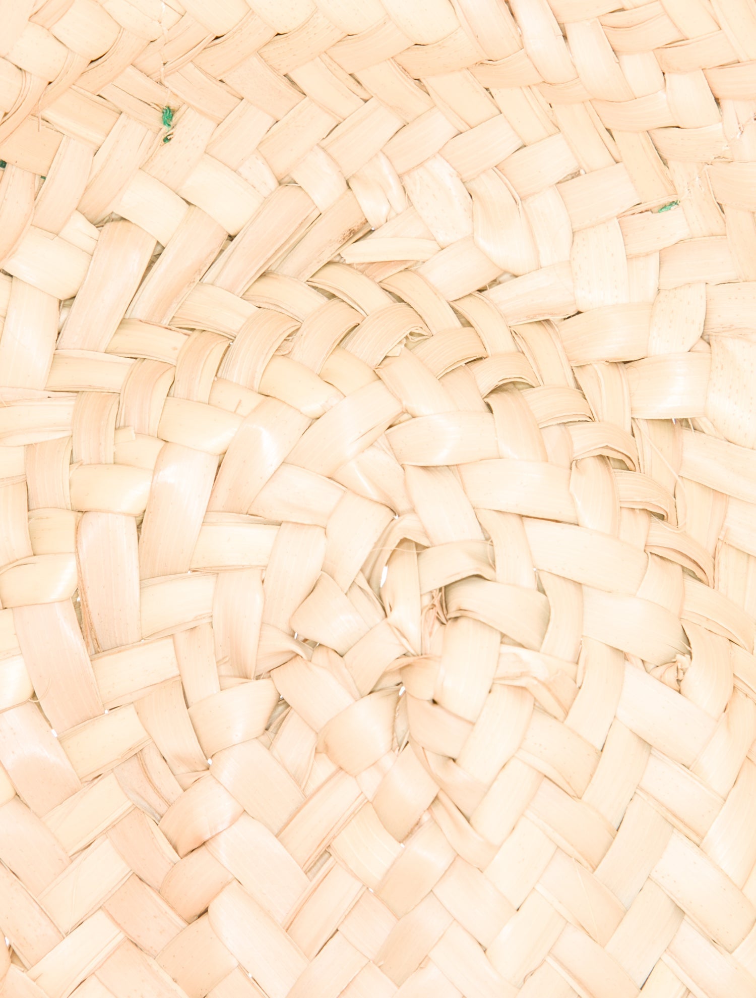 DeMellier Straw Top Handle Bag